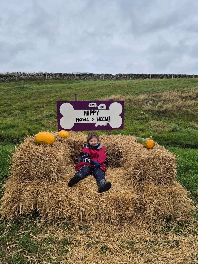 Stouslie Farm Pumpkin Patch, Hawick – A Scenic, Family-Friendly Autumn Adventure
