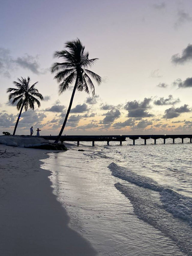 Experience Paradise at Furaveri Island Resort & Spa 