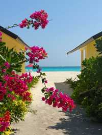  🌴🚤 Escape to Heaven: Unveiling the Charm of Hondaafushi Island Resort