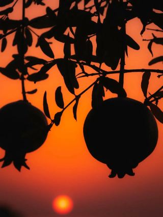 Осенняя мечта