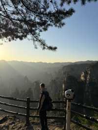 I Walked in the World of AVATAR & Found Heaven's Gate