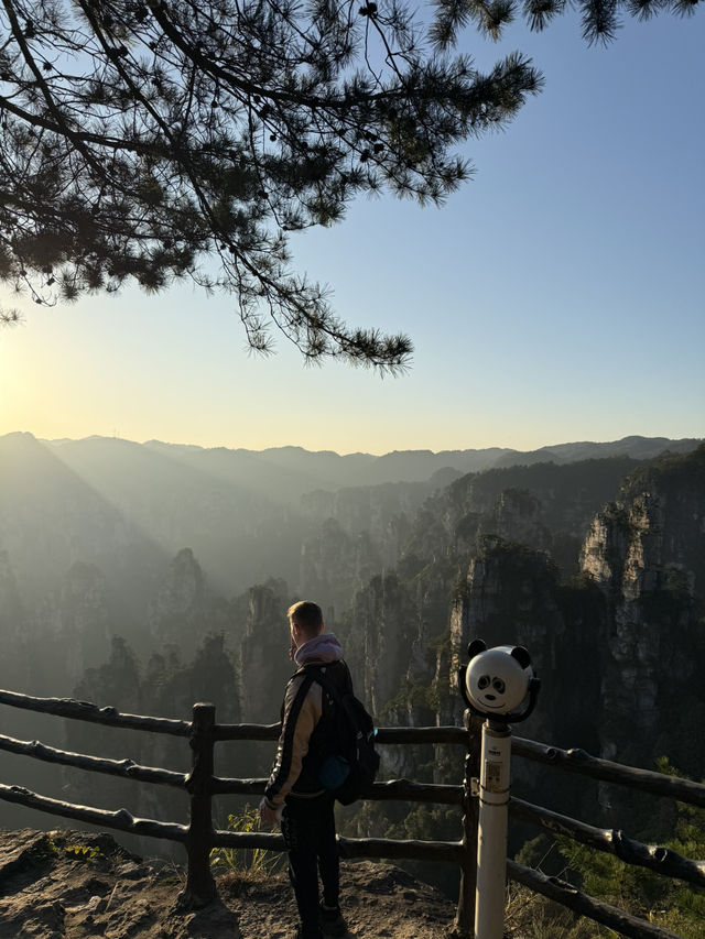 I Walked in the World of AVATAR & Found Heaven's Gate