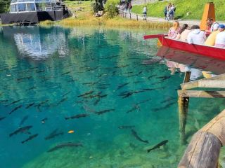 🌲Lake Blausee: A Natural Fairytale in the Heart of Switzerland