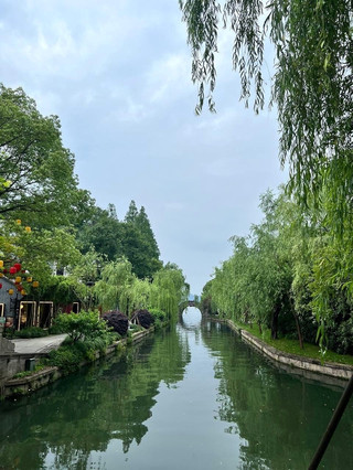 🇨🇳 一日遊西湖：杭州完美路線🌿