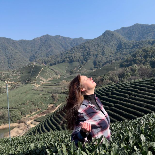 Longwu Tea Village without Travel Agency 🍵