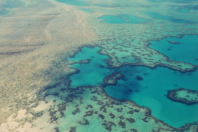 The perfect Great Barrier Reef.