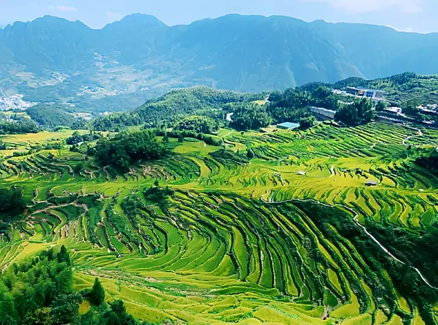 Lishui Yunhe Terraces, how can you miss it~