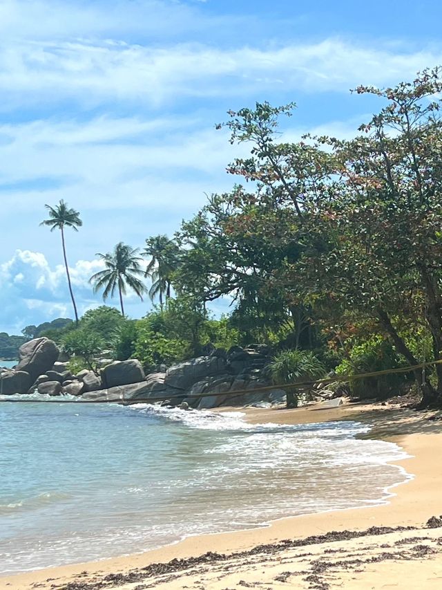 和男朋友這樣在民丹島過冬真的好浪漫！