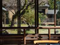 🎨 箱根アートツアー：地元の美術館や伝統工芸展を探索！🖼️