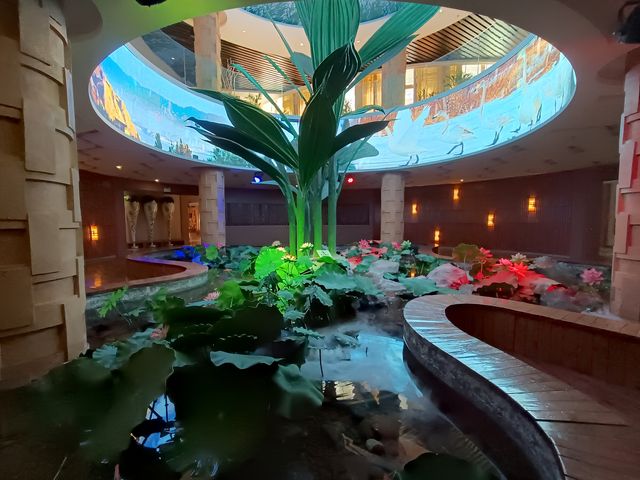 遇見多彩的秋天，張掖國家濕地公園