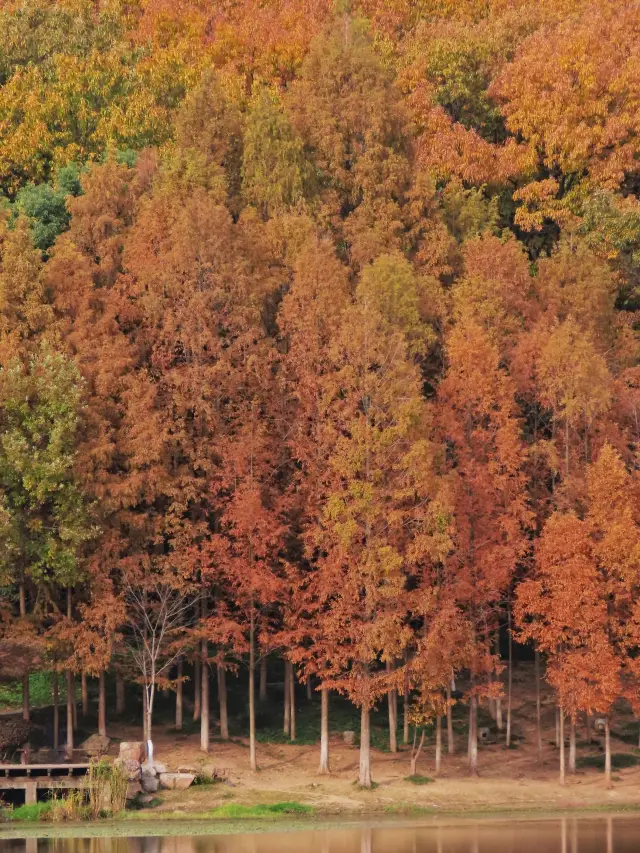 Jiangsu Nanjing Pipa Lake | Kanas