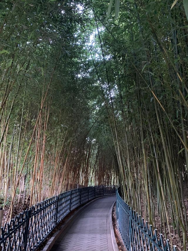 北京紫竹院公園深秋美的像一幅畫