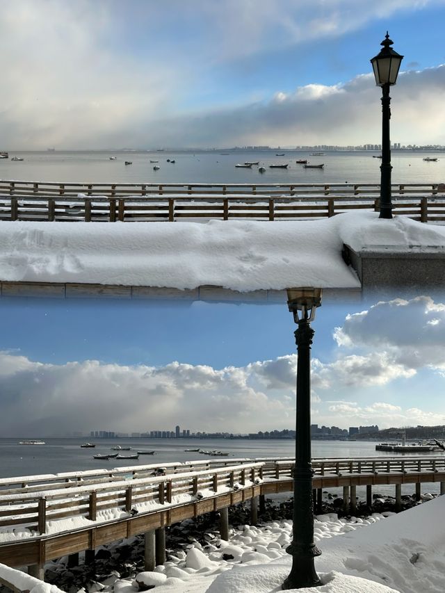 煙台冬日雪景：一場美麗的海濱童話