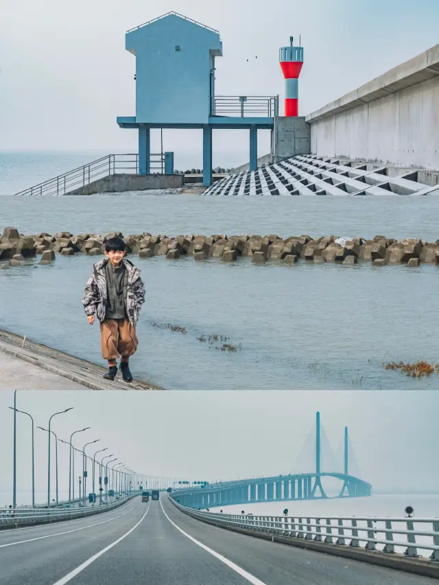 上海崇明島の秋のカウントダウンチェックインガイド