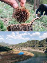 綠江村詳解，人世間的柳暗花明