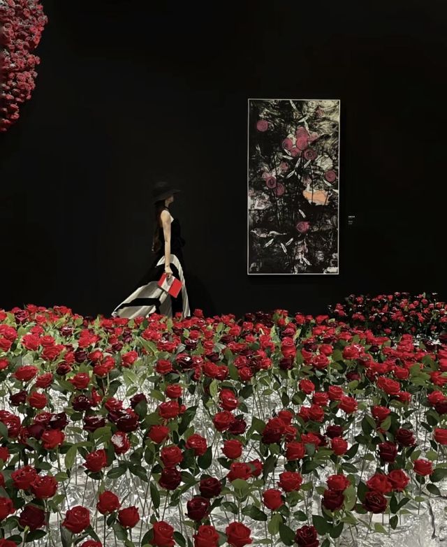 深圳新展震撼到我了