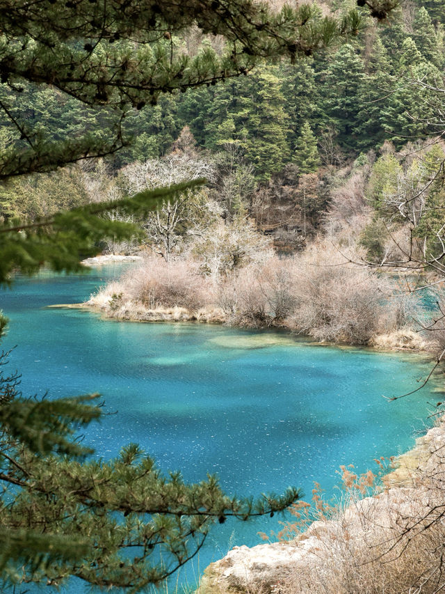 坐高鐵去九寨溝！剛回來！我想說的是…