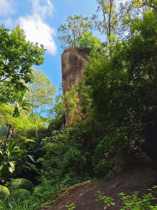 深圳市水土保持科技示範園遊玩攻略