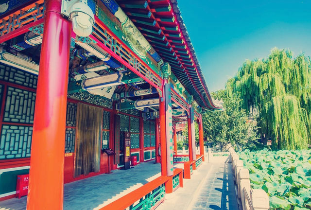 保定古蓮花池,中國十大名園之一,是保定旅遊的必打卡地 保定古蓮花池,中國十大名園之一,是保定旅遊的必打卡地