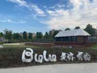 炫酷上海遊｜朋友以為我去迪拜度假了的驚喜之旅