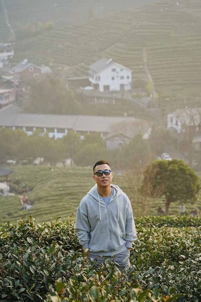 如果不開心，就去茶園放空吧！