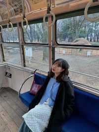 東京江戶主題公園來到這裡穿梭時光吧
