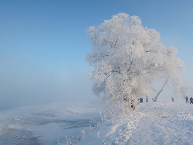 為這瞬間的冰雪奇觀 早起挨凍也值得