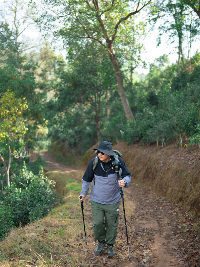 穿越千年古寨茶山的徒步之旅丨用腳步感受風和歷史的溫度