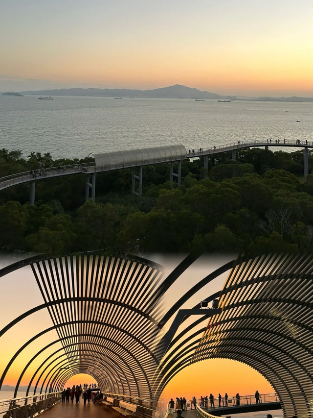 來廈門記得去山海步道絕美 citywalk路線