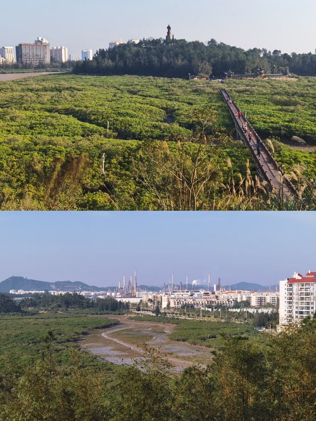 廣西欽州小眾景點仙島公園，全國最大孫中山銅像，千畝紅樹林