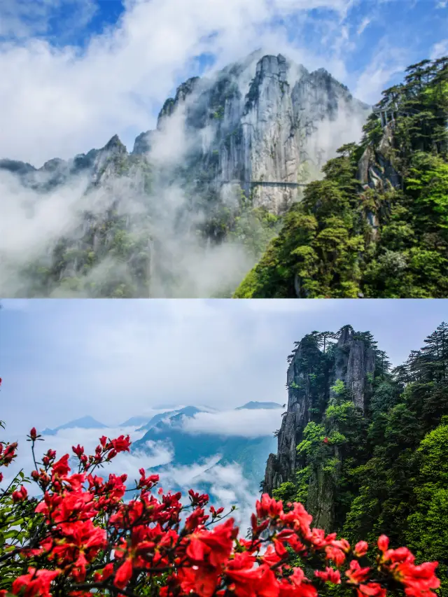 llection! The travel guide for the Mingyueshan + Yangshimu cross-trip you want is here!