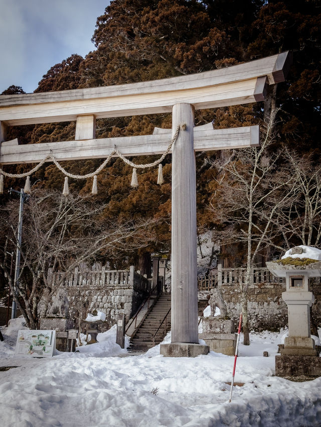 為了這座絕美神社，我在雪地中狂走2萬步