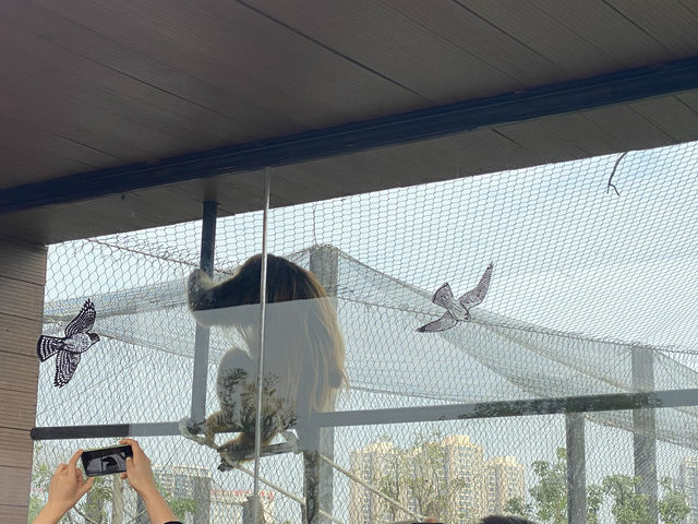 在武漢·武漢動物園新手入園攻