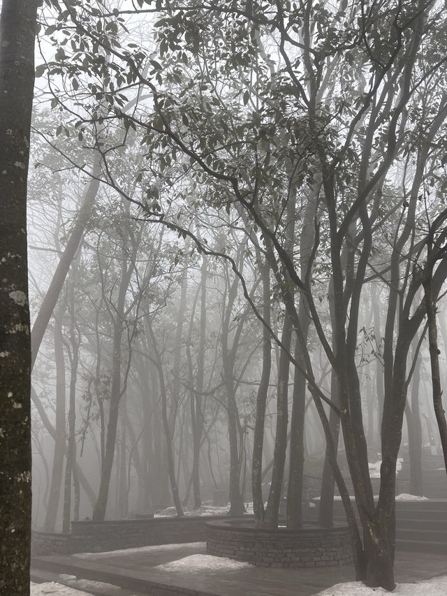 ZhangJiaJie - City of Heaven