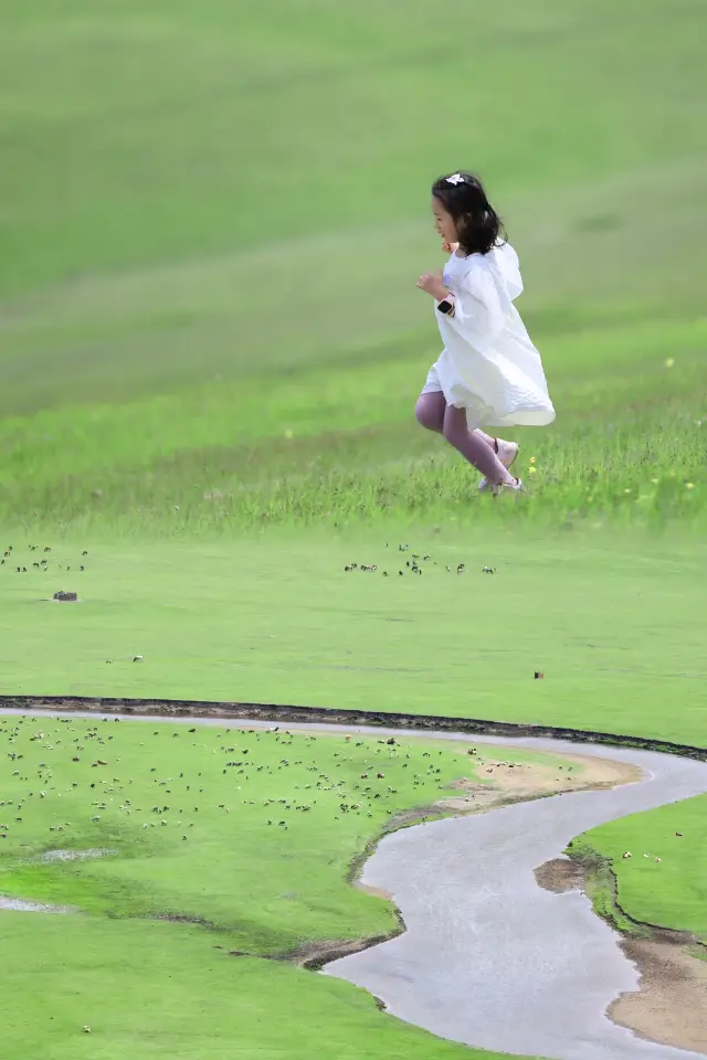 內蒙古呼倫貝爾大草原旅遊必打卡莫日格勒河