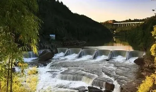White-clad waves of gold, a colorful ancient town tour: Spring in Baiyi Ancient Town