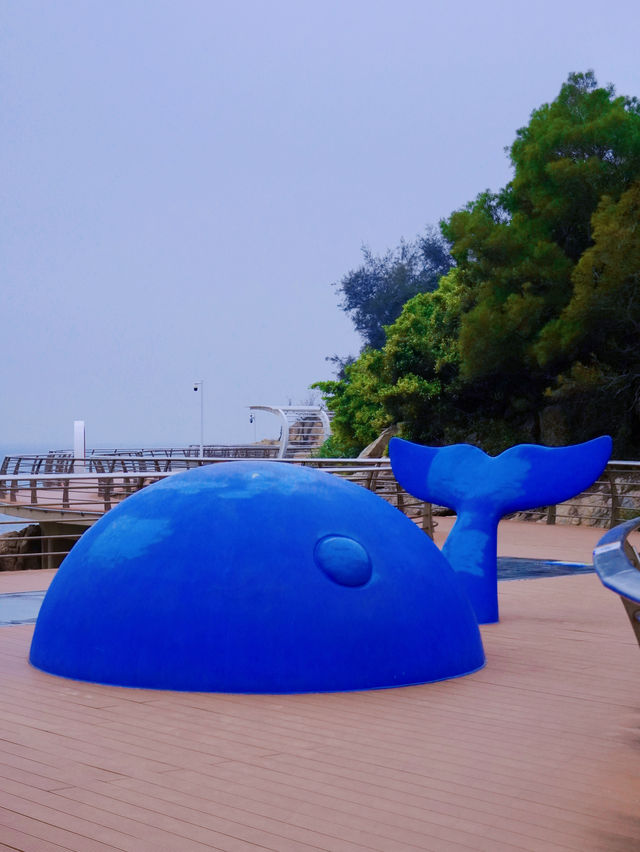 東澳島｜小眾浪漫海島春日看海賞花