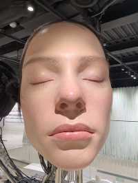 我的城市開新店了，淮海中路驚現可頌健身房