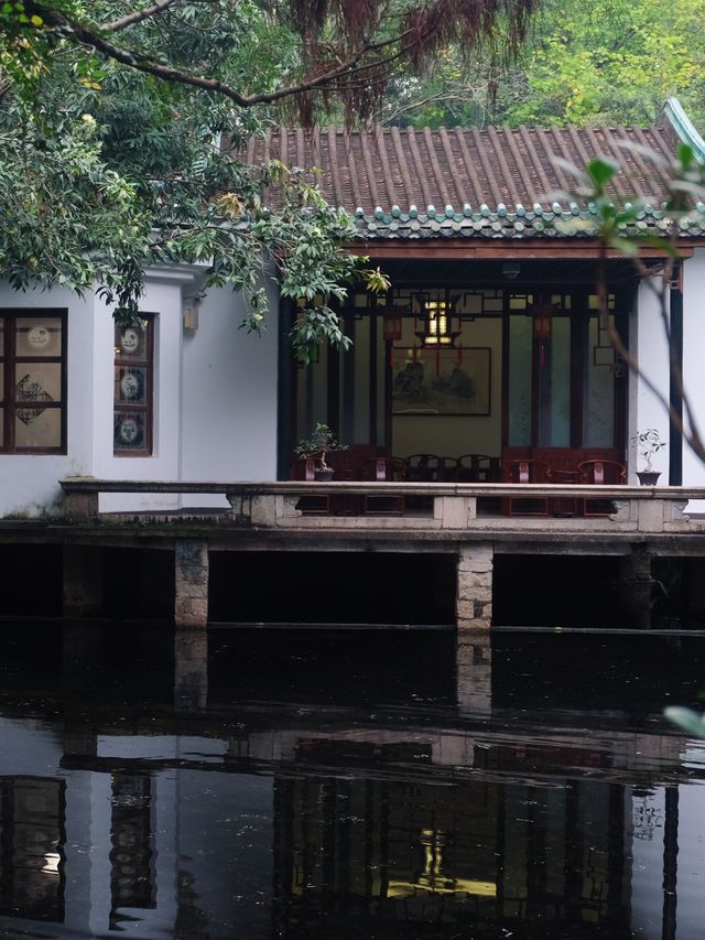 雨中岭南夢境：廣州蘭圃一日遊探秘