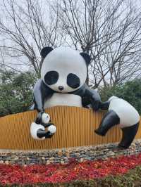 大熊猫新寶藏地--岳陽--顏王頂流