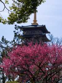 夢回大唐上海必打卡的晚唐風古寺|寶山寺