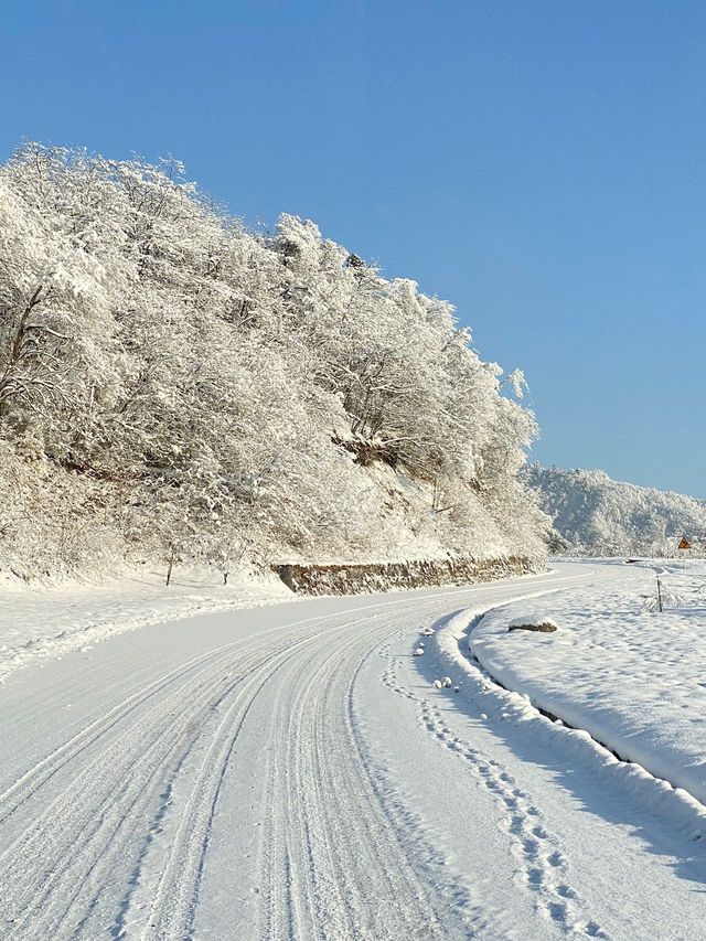 西嶺雪山終於下雪啦！！雪季如期而至！