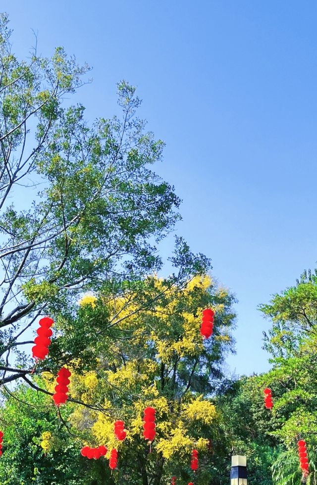 廣東江門｜新會北園公園｜（₍₍ ᕕ⍢⃝ᕗ⁾⁾廣東周末假期