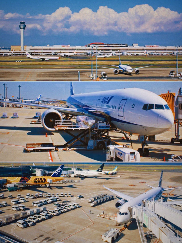 日本人文｜探訪日本航空第一門戶，羽田國際空港