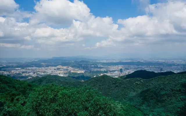 Where to go for a break? → Yangtai Mountain Forest Park