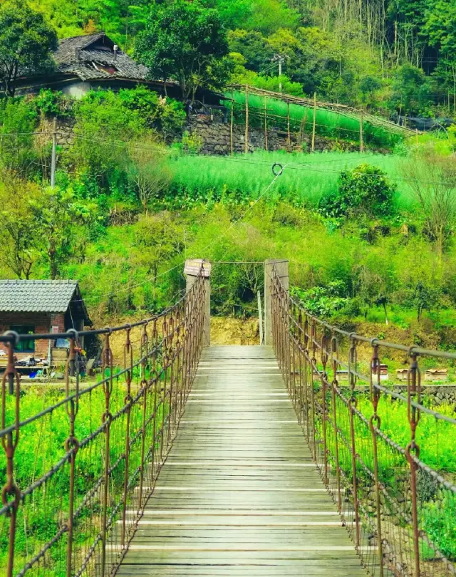 Spring outing is just in time~ Experience the painting-like spring in the small village