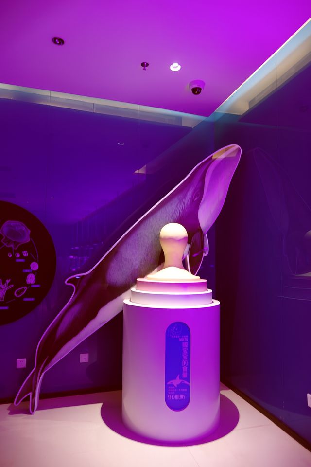 雲上海洋館·特別的存在 雲上海洋館·特別的存在