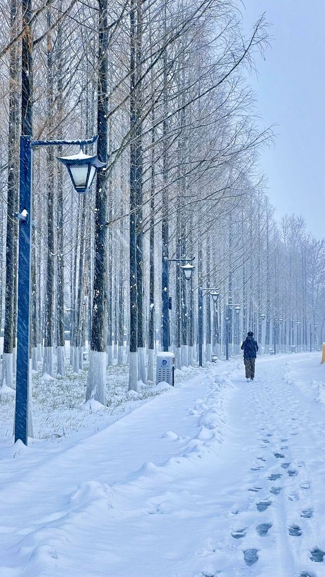 2024年武昌江灘雪景