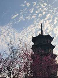 泉州·開元寺——「千年古剎」