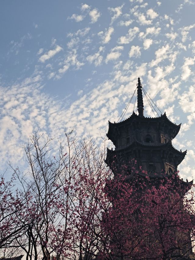 泉州·開元寺——「千年古剎」